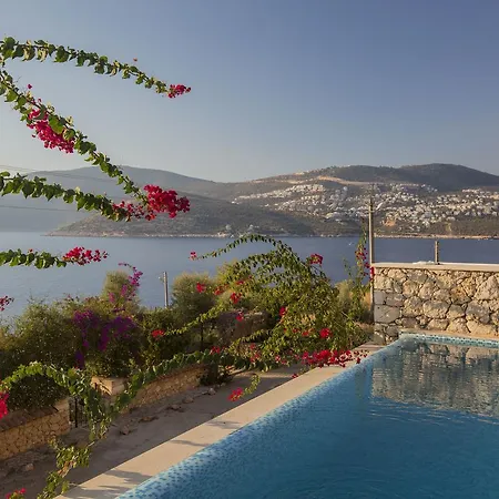 Sans Yildizi Villa *